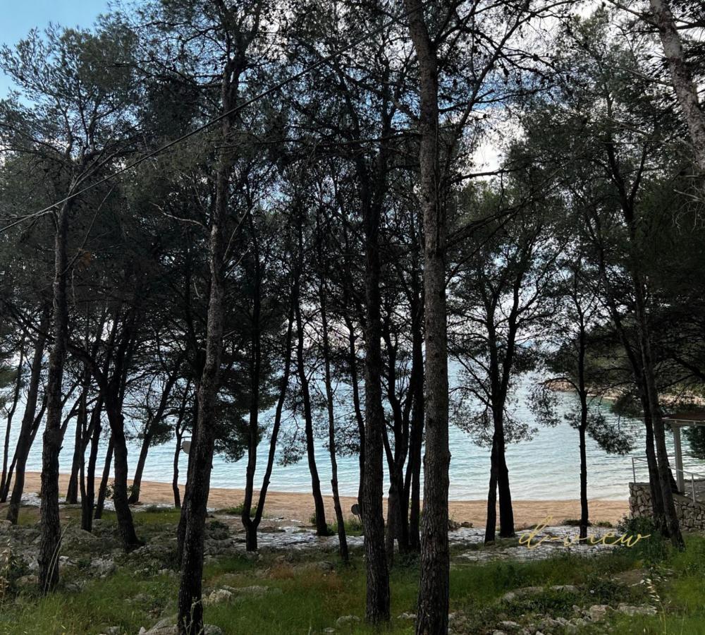D-View Premium Mobile Home - Panoramic Seaview - 150 M From Beach, Free Parking Drage Exteriér fotografie